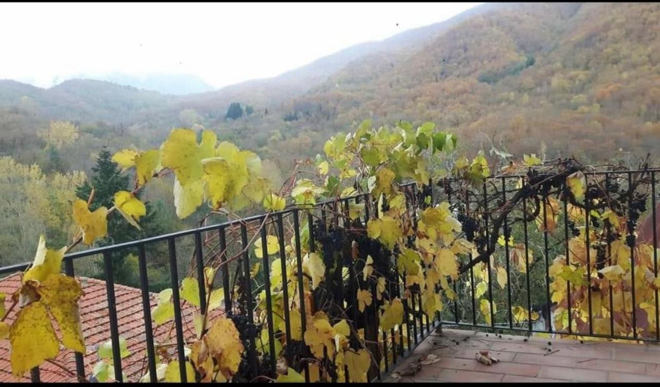 Coletti Pietro snc view 3
