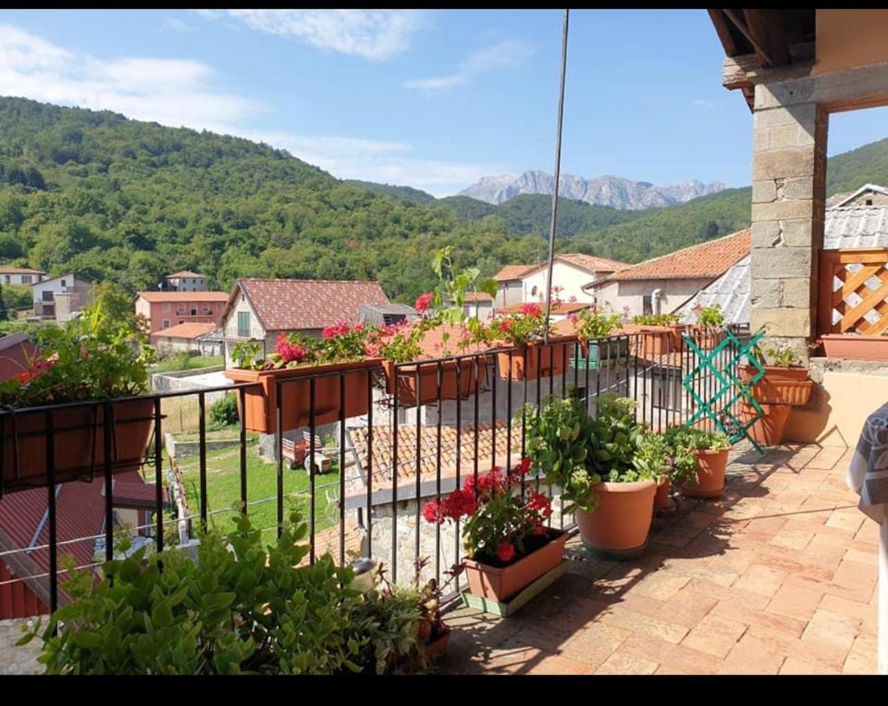 Coletti Pietro snc view 2