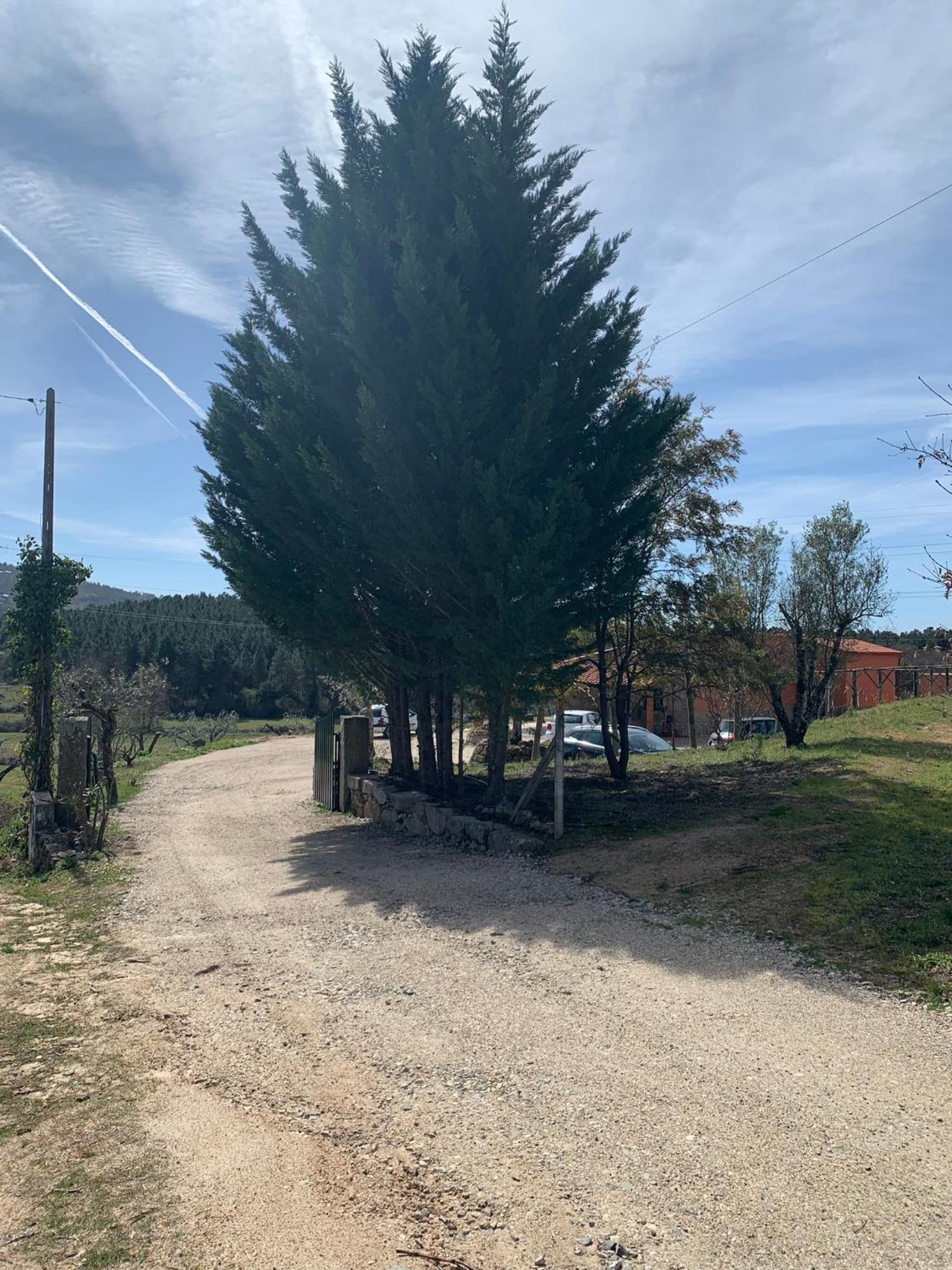 Quinta dos Cedros l Turismo Rural view 4