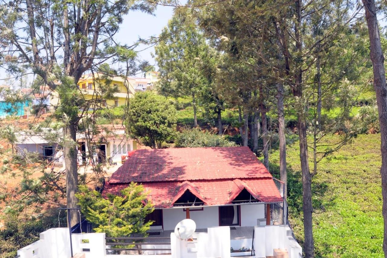 Franc Villa - Kothagiri view 3