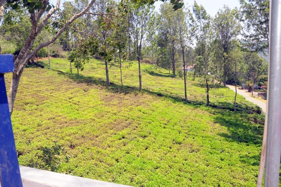 Franc Villa - Kothagiri view 4