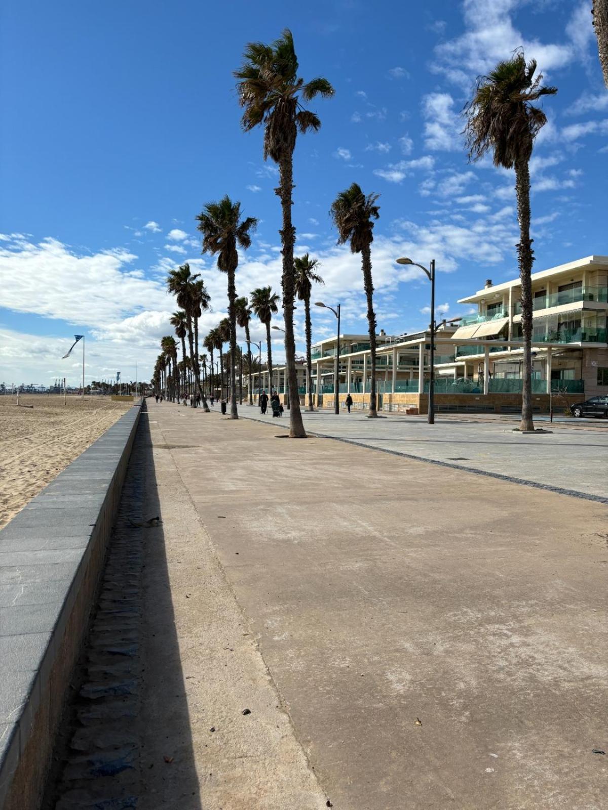 Playa Patacona con vistas al mar