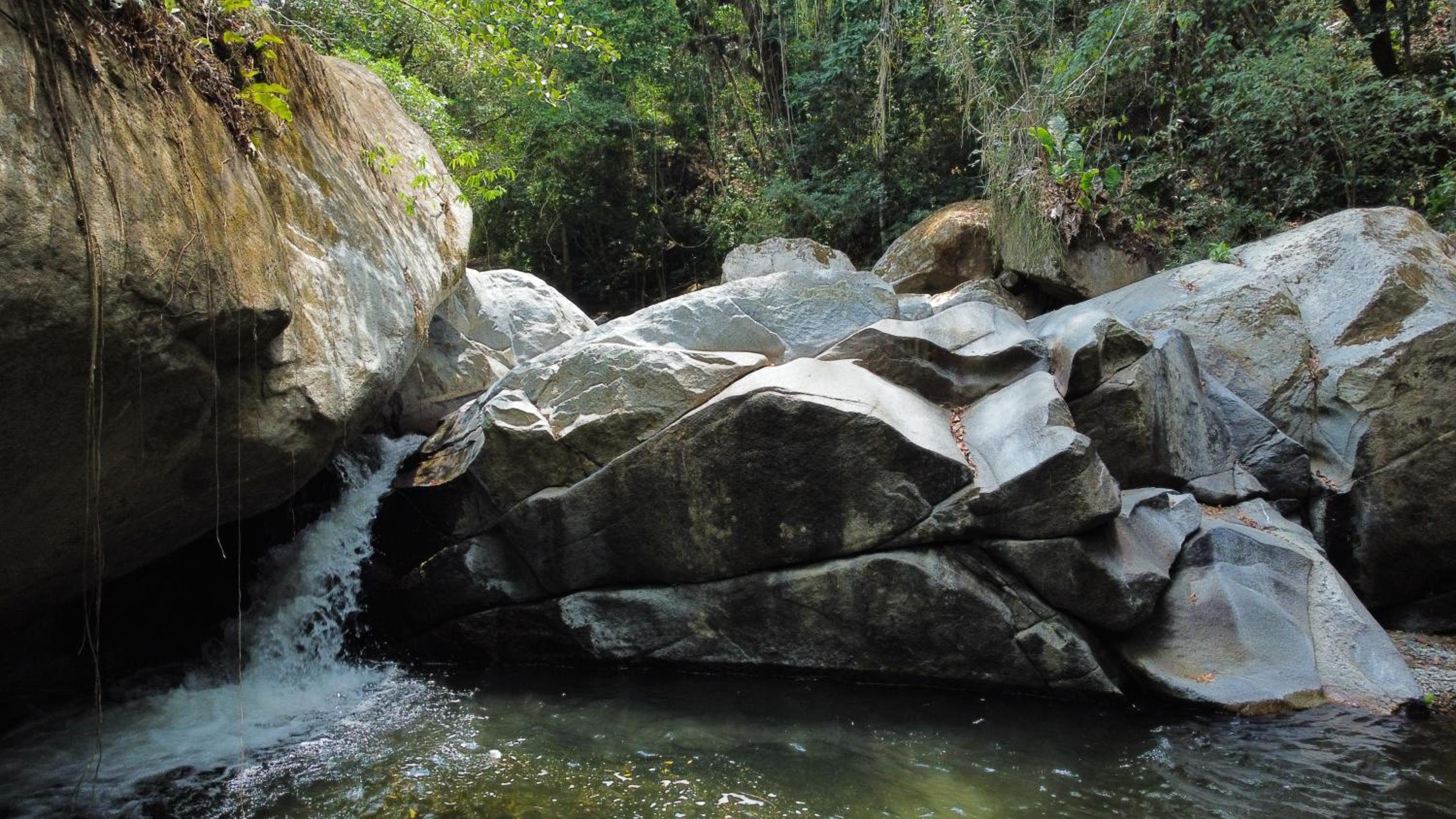 Sierra Jungla