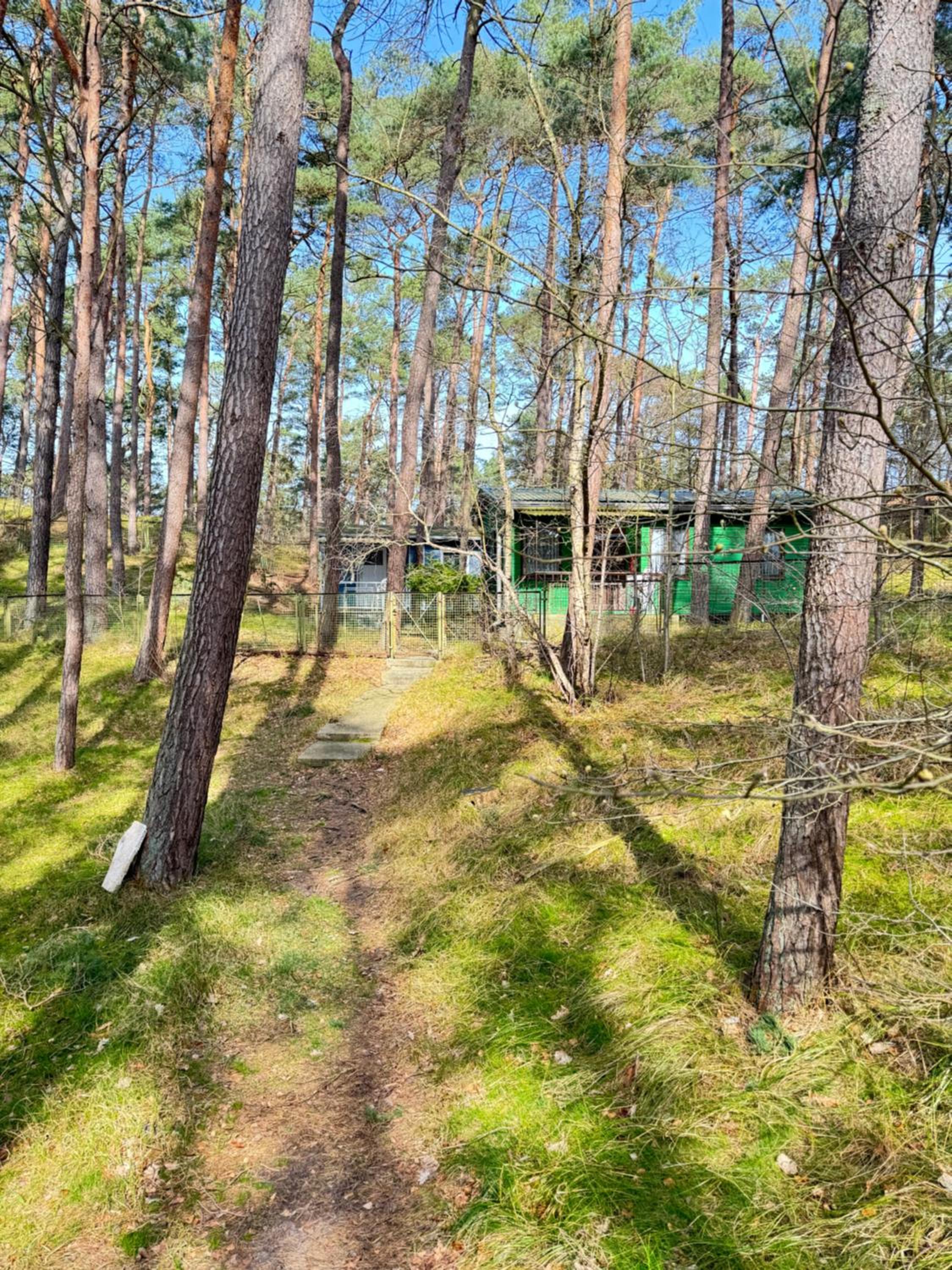 Feriendomizil im Dünenwald