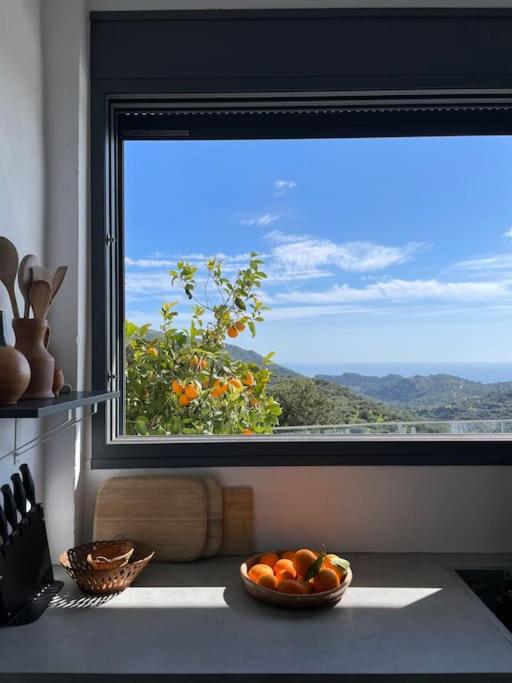 Southern Crete Panoramic House