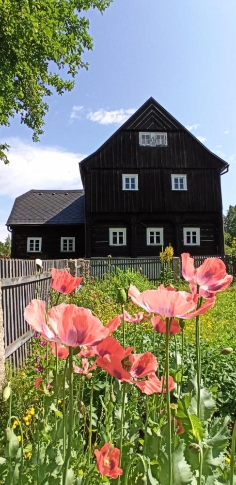 Apartmán STŘEVLIK Oldřichov v Hájích
