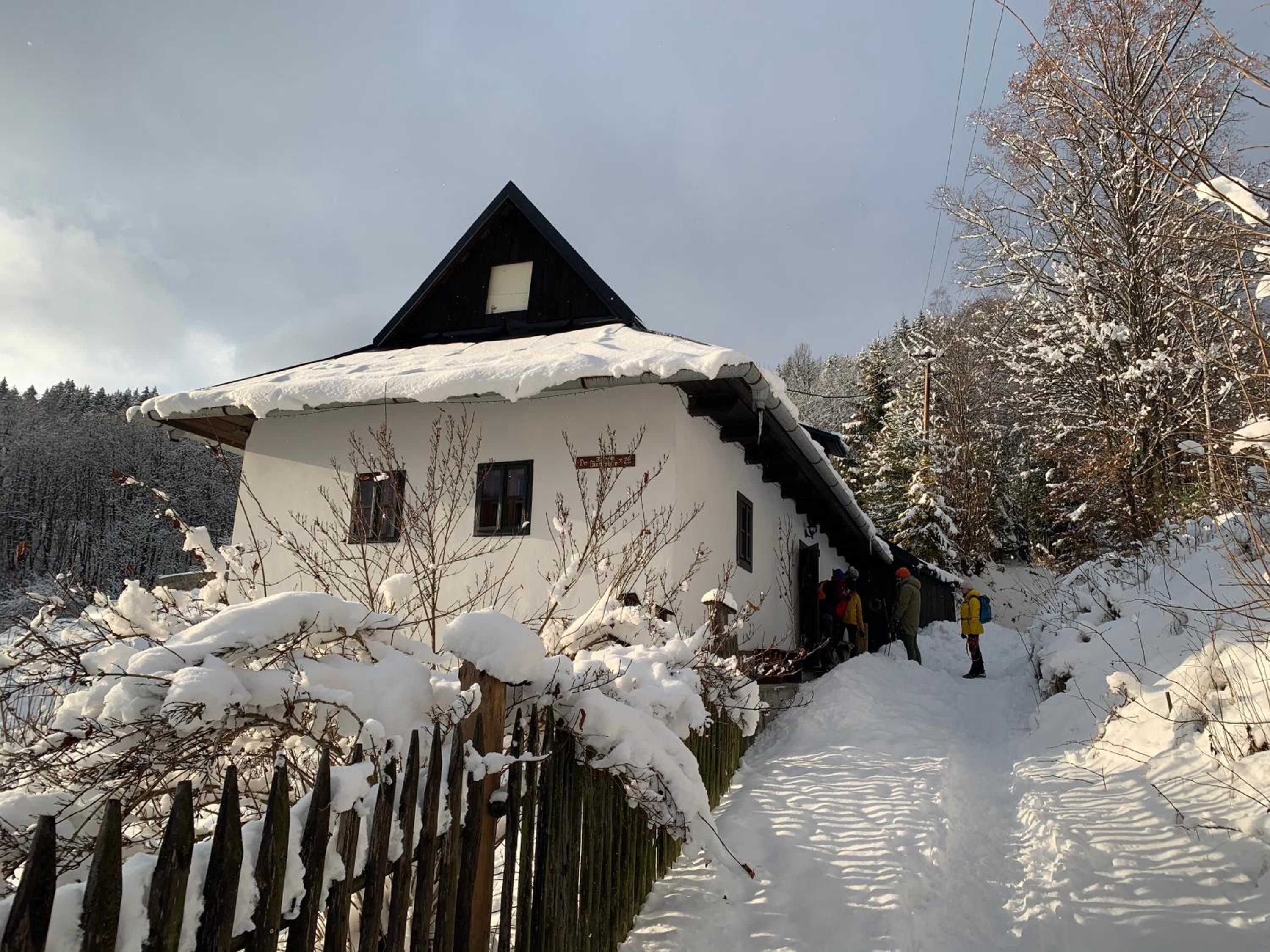 Photo 42