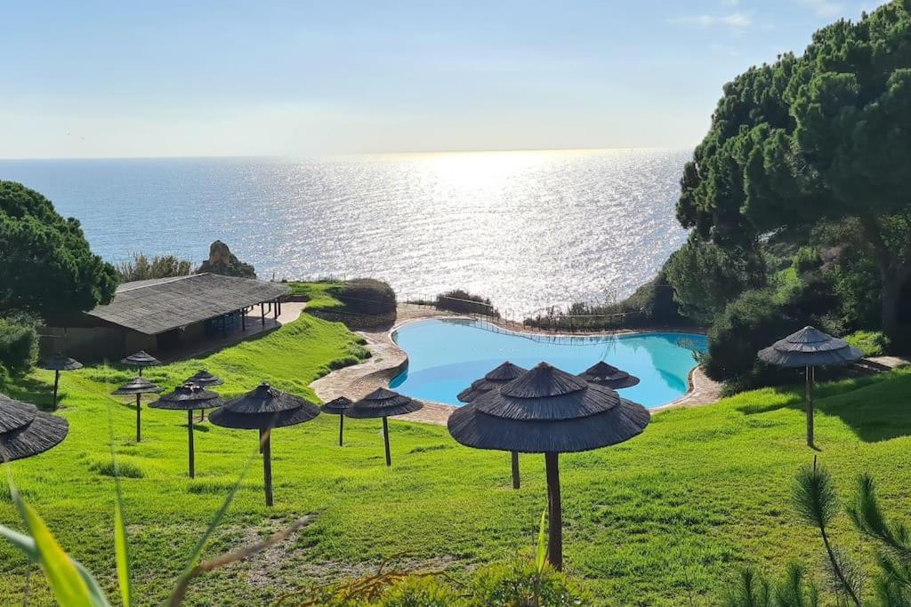 Albur Beach House view 2