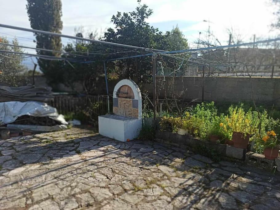 Yannoula's Family Home