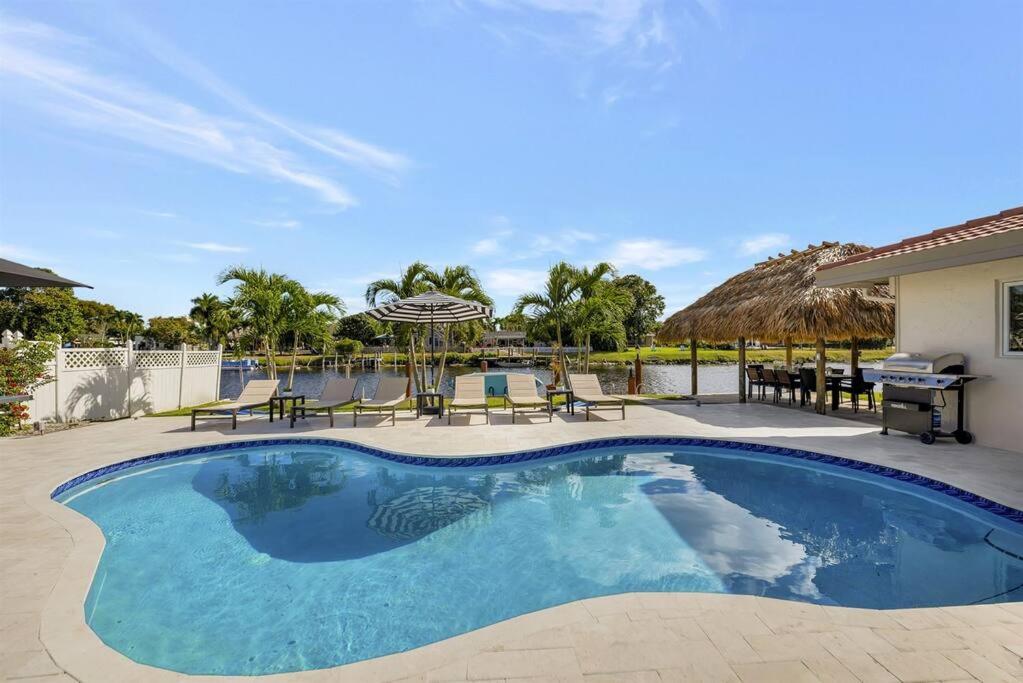 Tropical Palms House