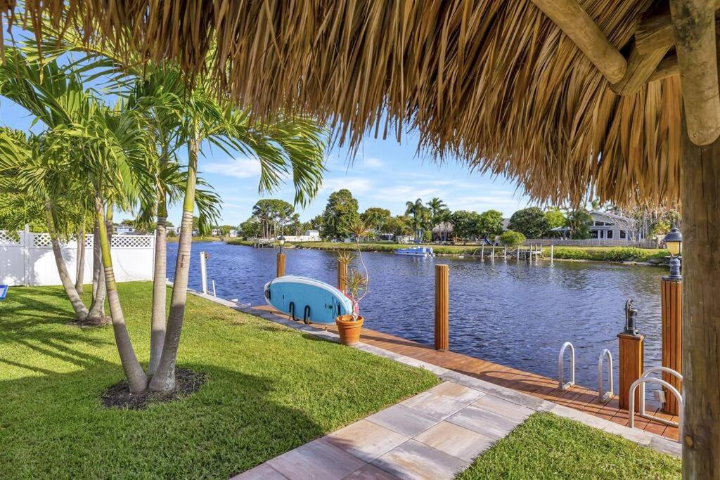 Tropical Palms House