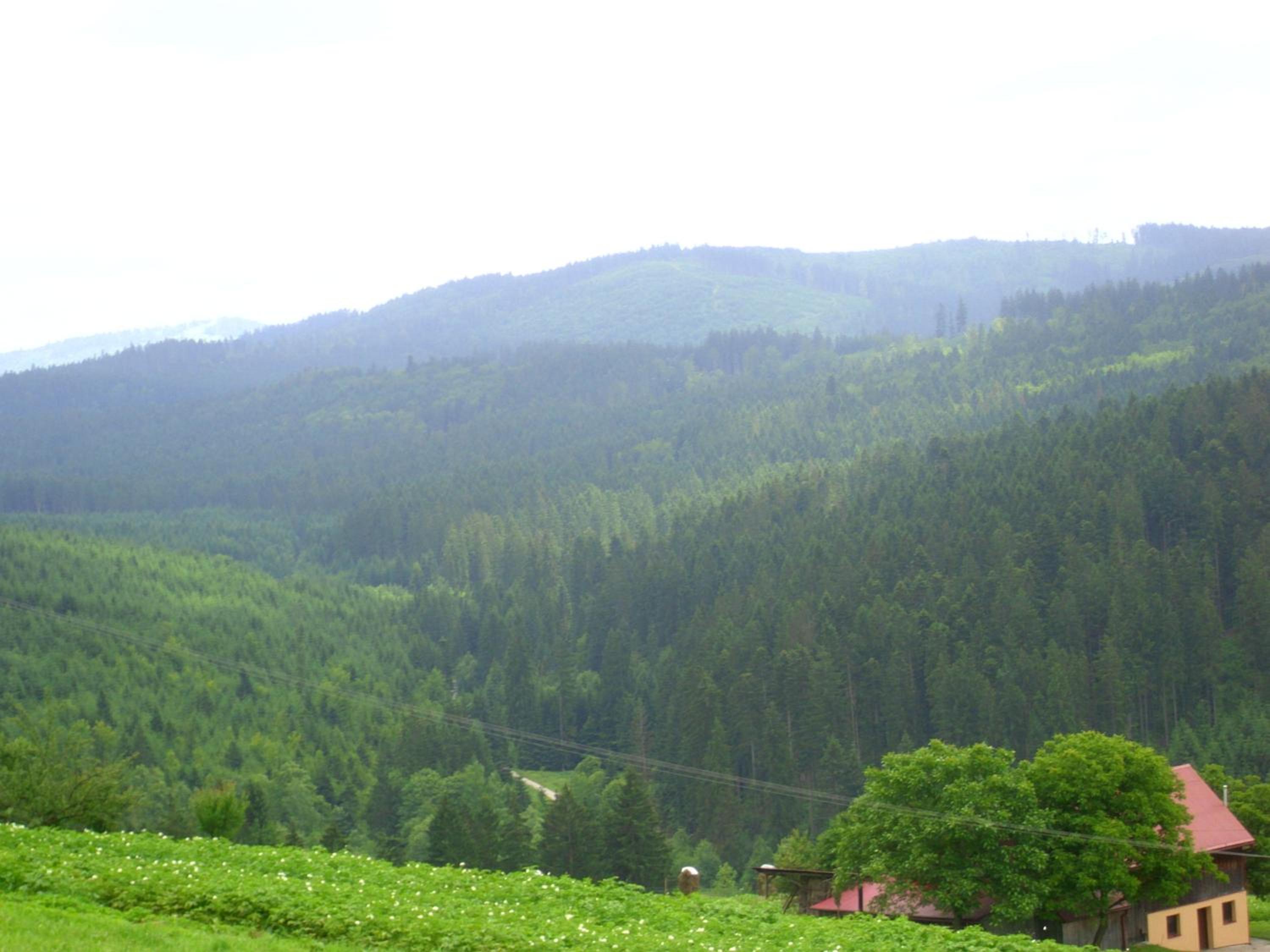 Photo 52