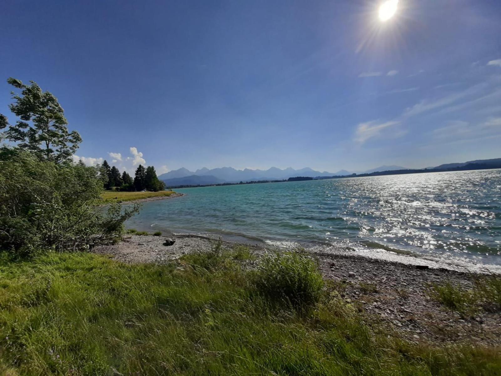 other