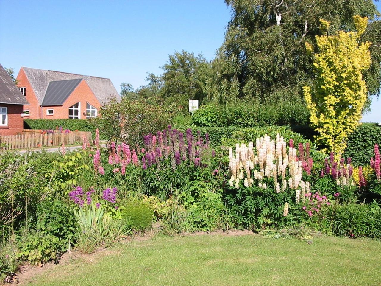 Photo 25