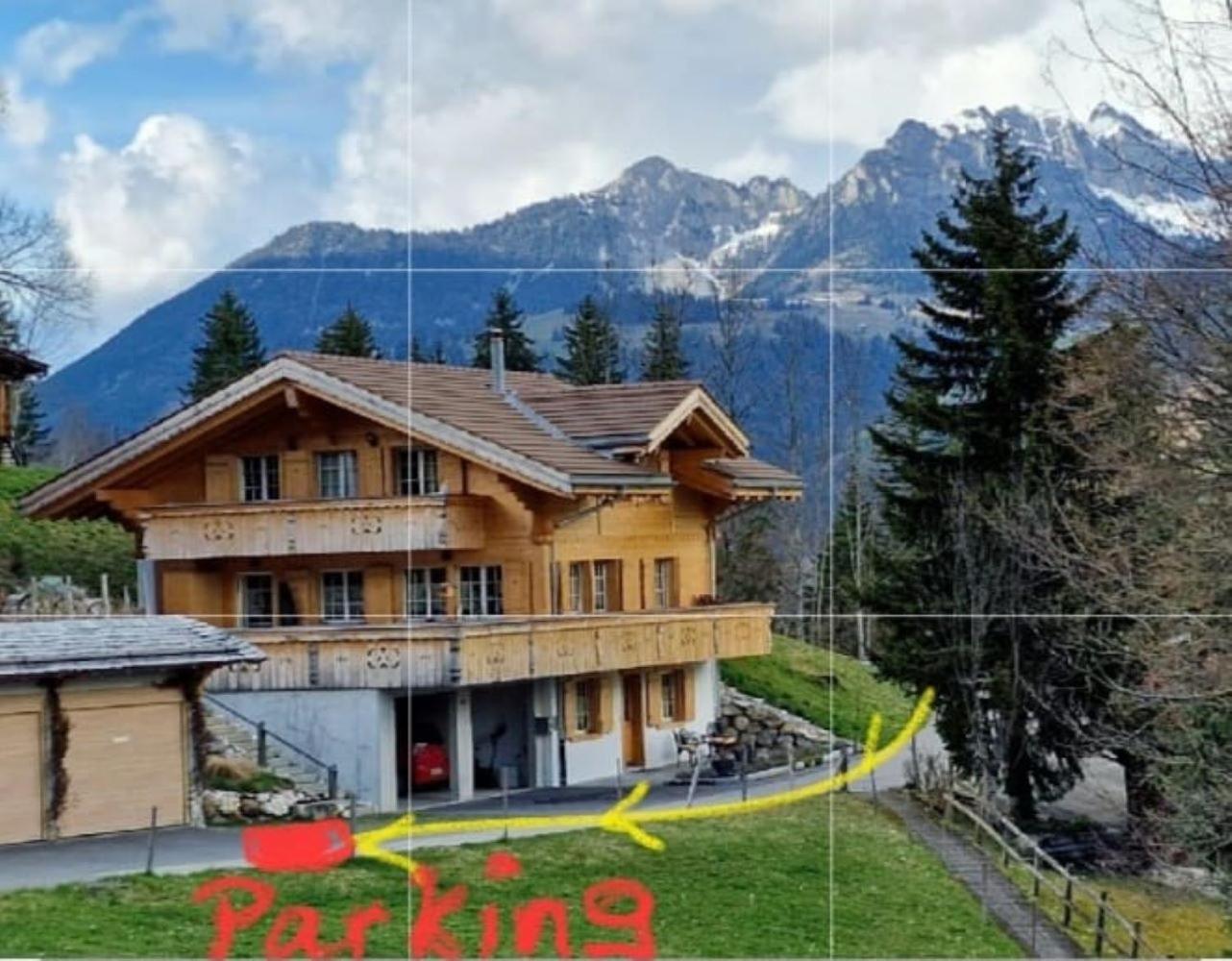 Large Deluxe Studio - Chalet Lovo