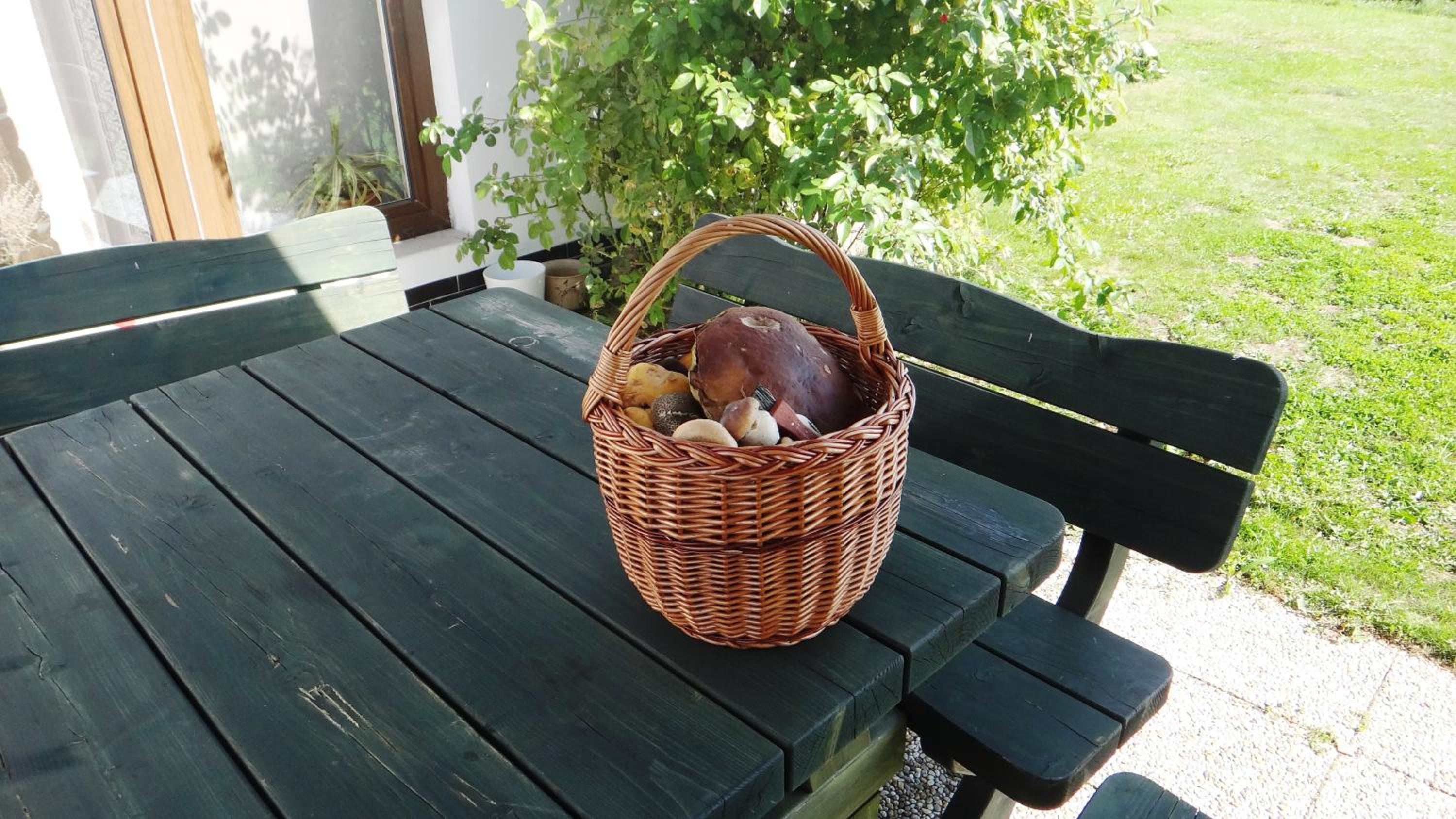 Prázdninový dům - PACL Červená Řečice