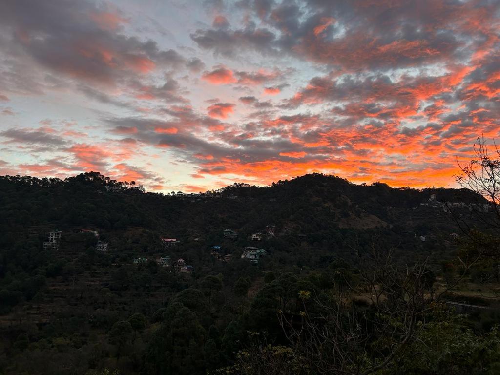 SUNS Cottage Kasauli