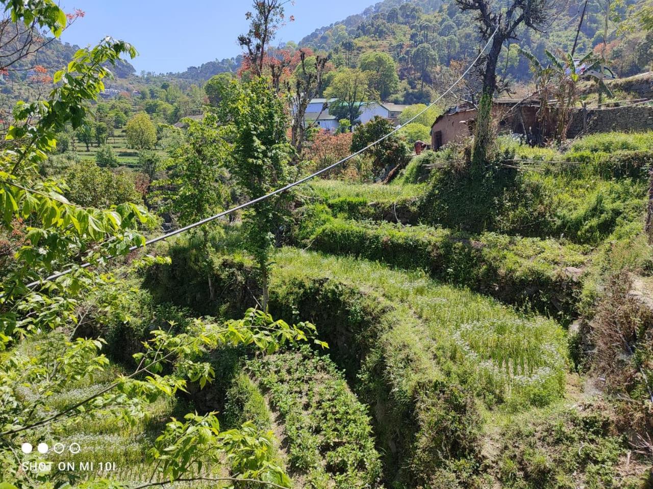 SUNS Cottage Kasauli