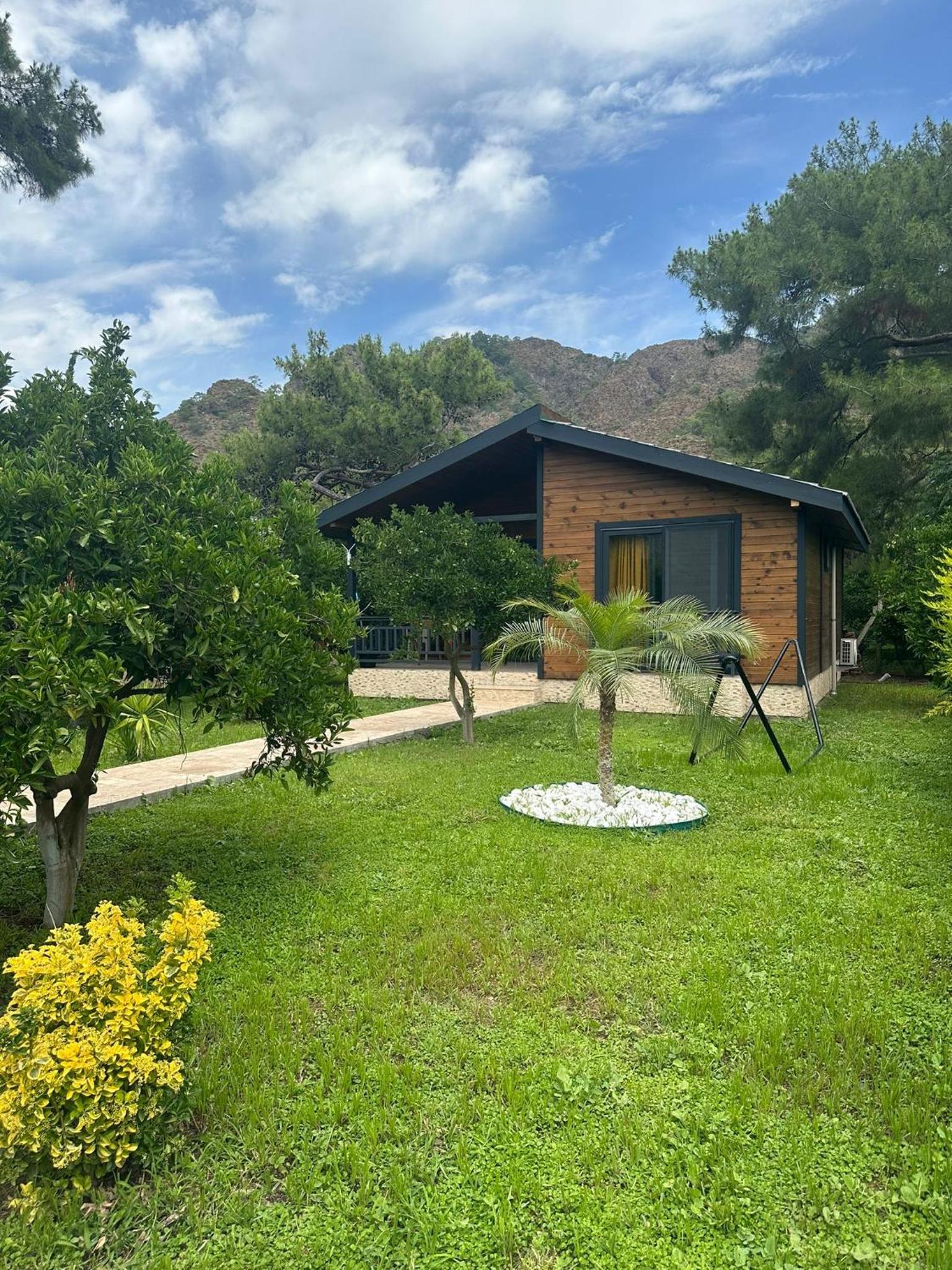 Çıralı Villa 2 view 5