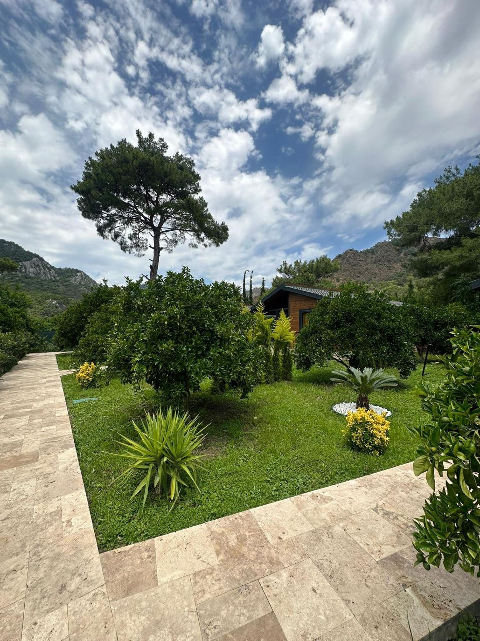 Çıralı Villa 2 view 3