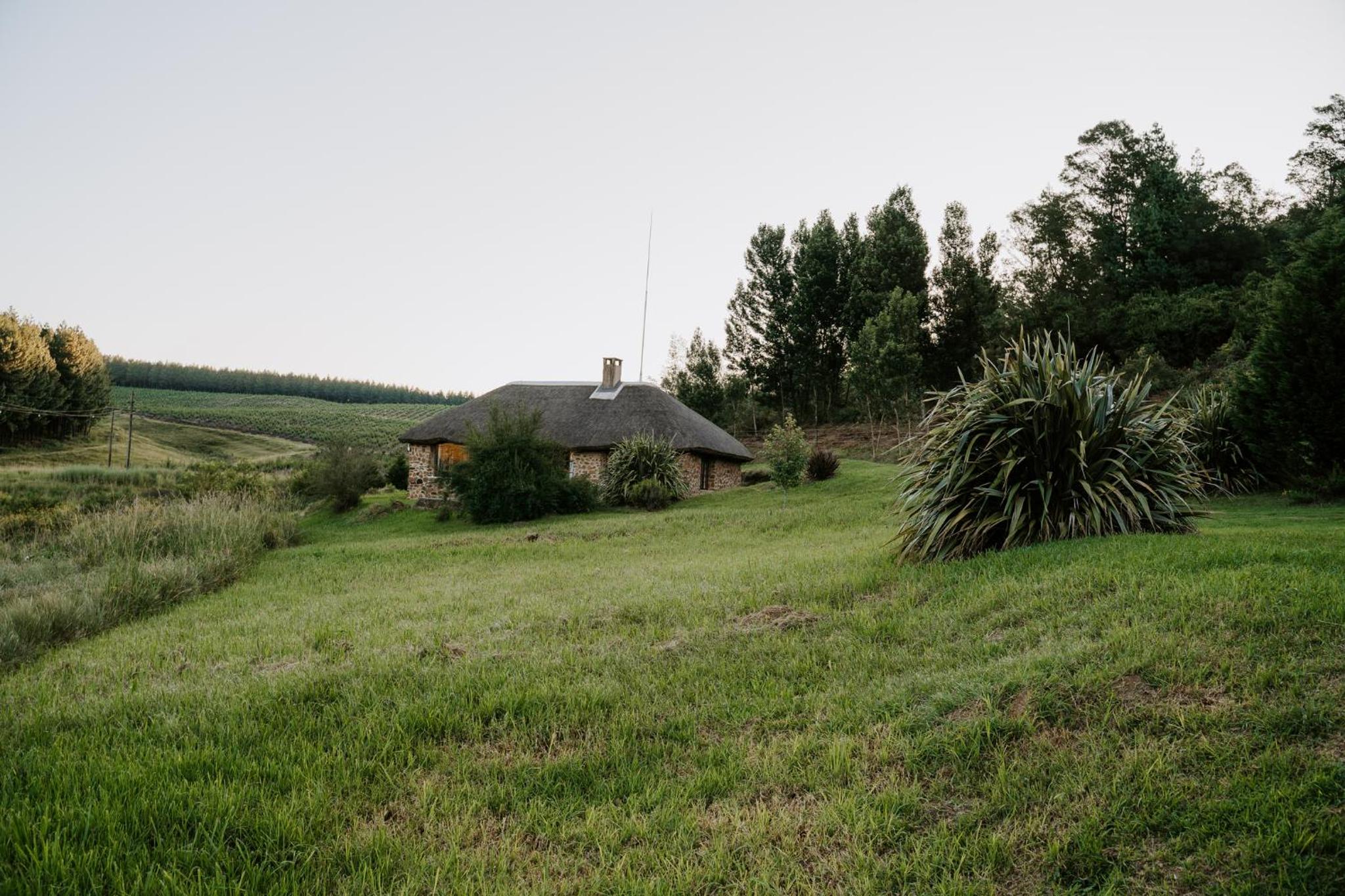 Photo 34