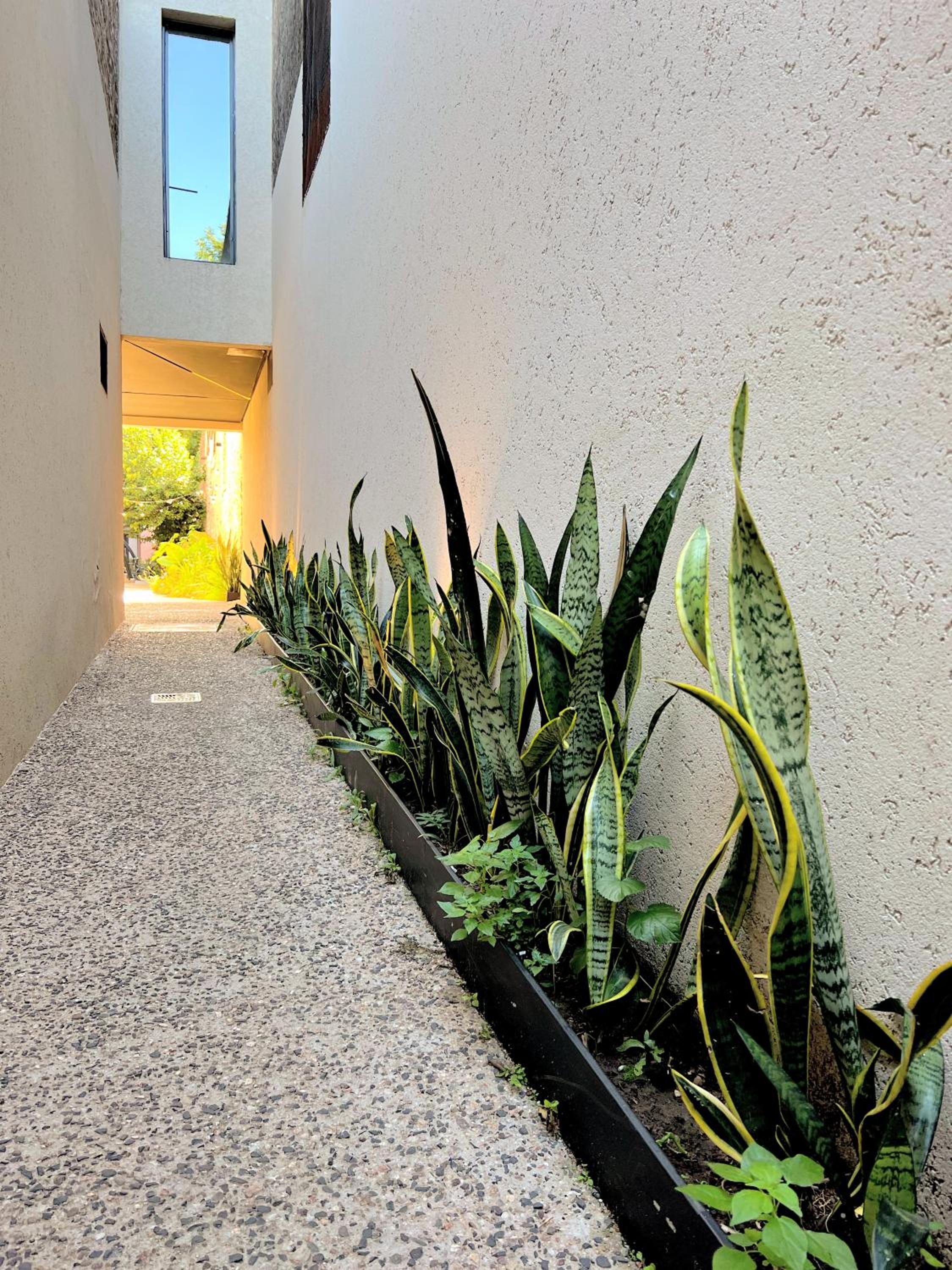 Rodriguez Suites