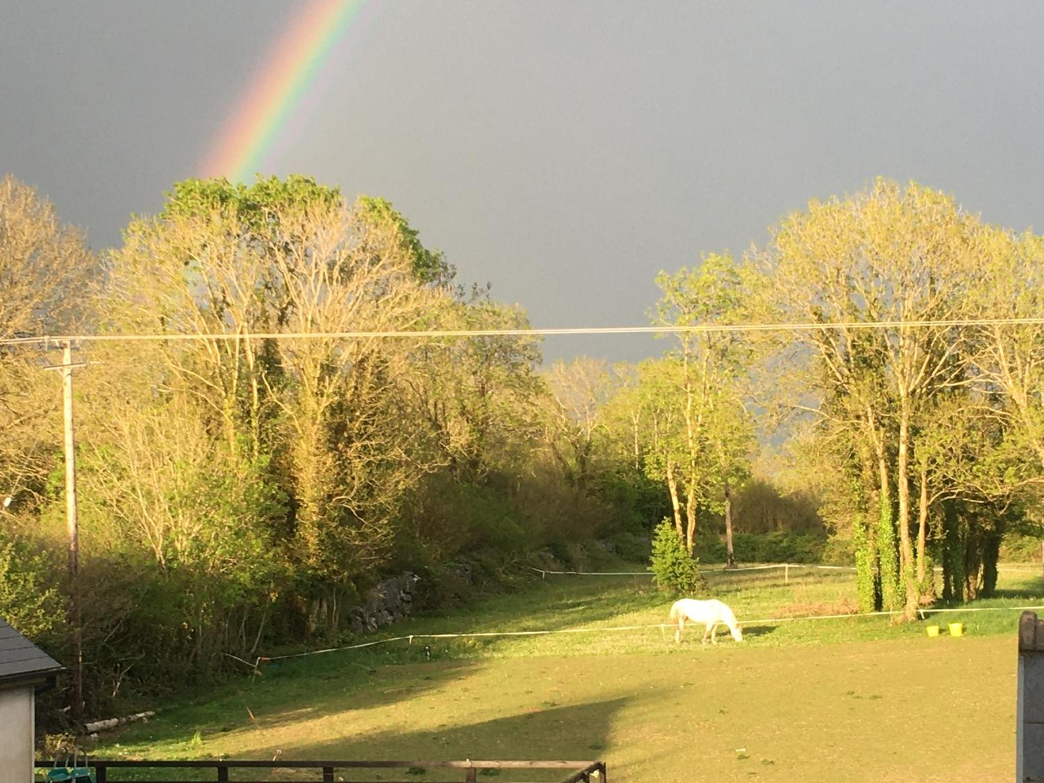 Ennis Vacations - Luxury Country Escape - Property Image 15
