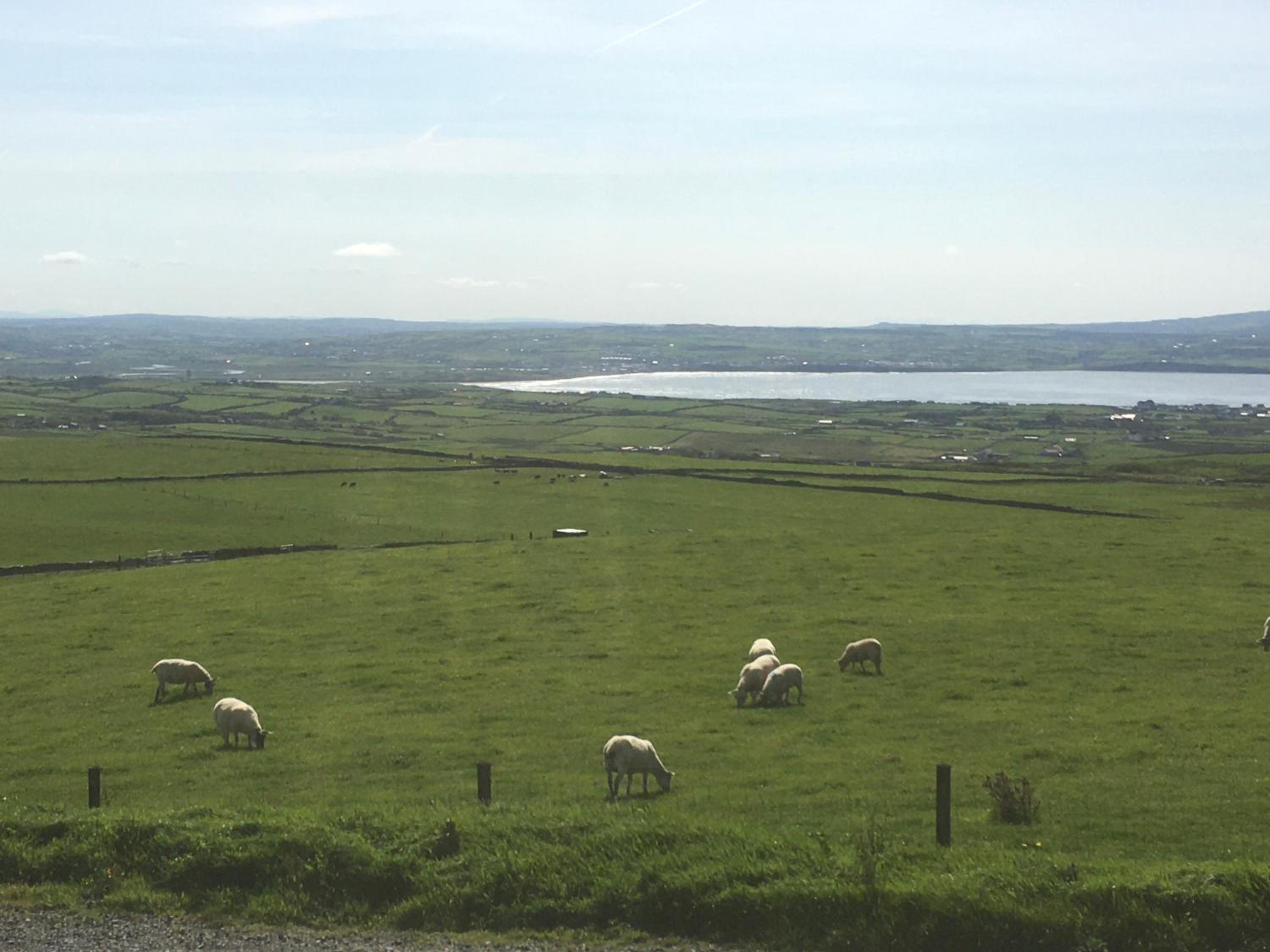 Ennis Vacations - Luxury Country Escape - Property Image 18