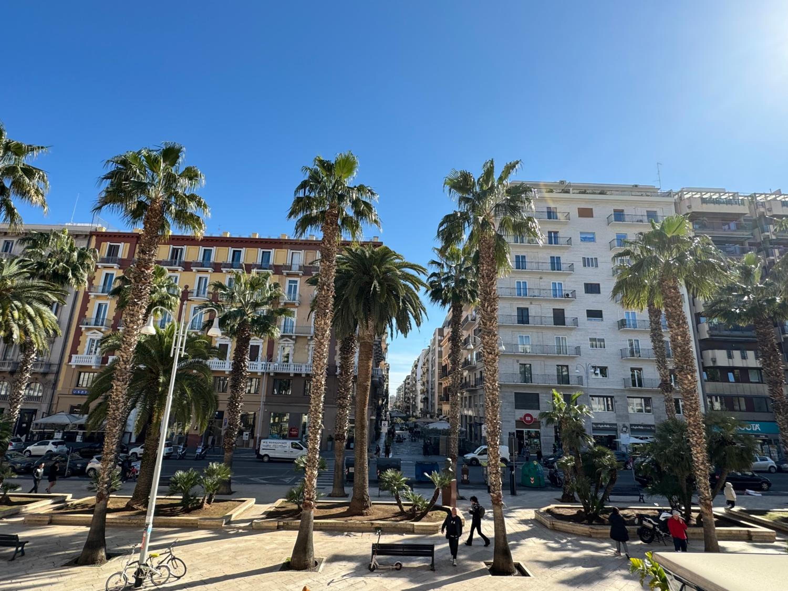 Palm Central House view 2