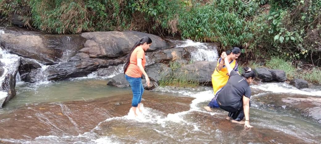 Abbimatta Bachalli Falls Homestay view 2