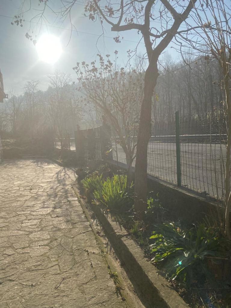 Casa delle farfalle view 2