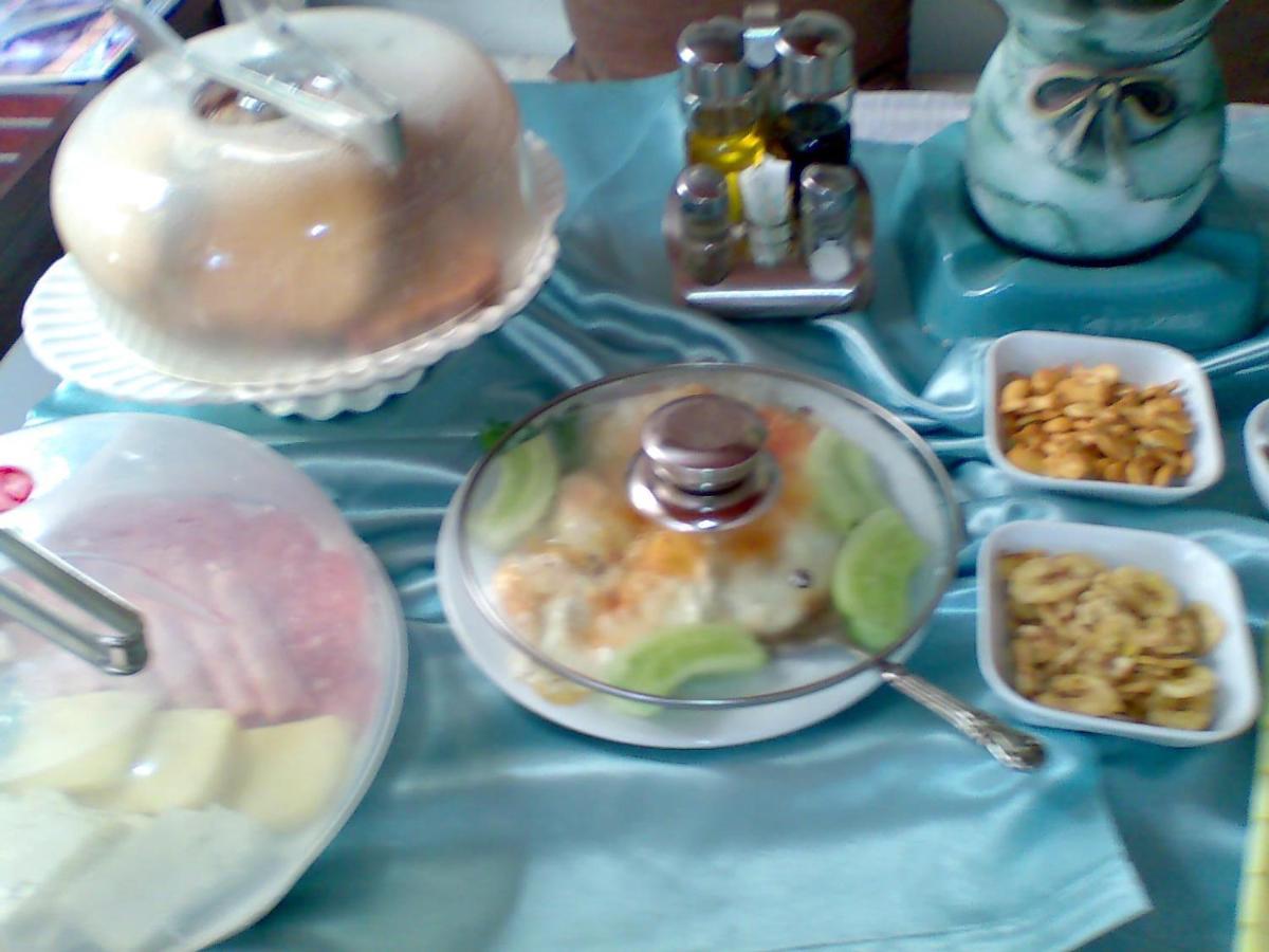 Guest House Plavas