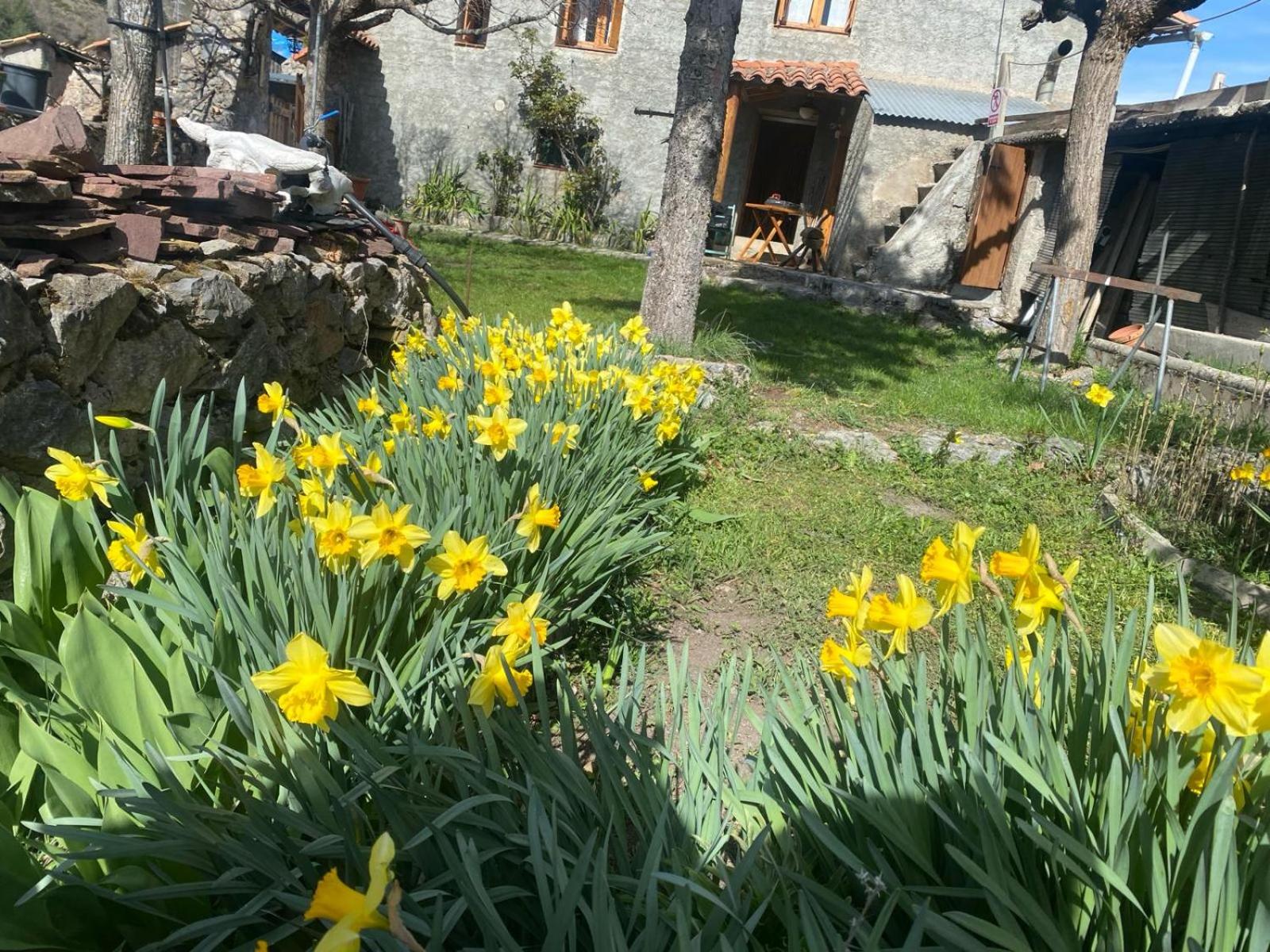Casa Sarrano