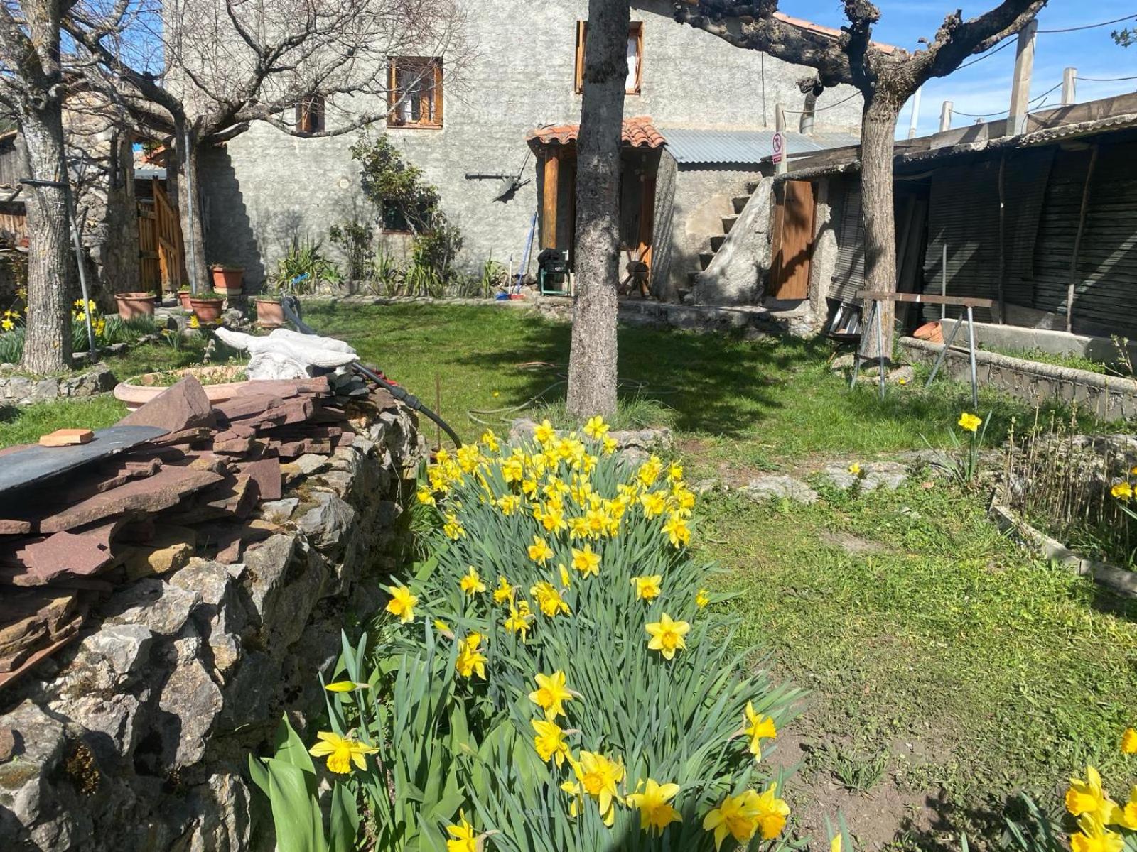 Casa Sarrano