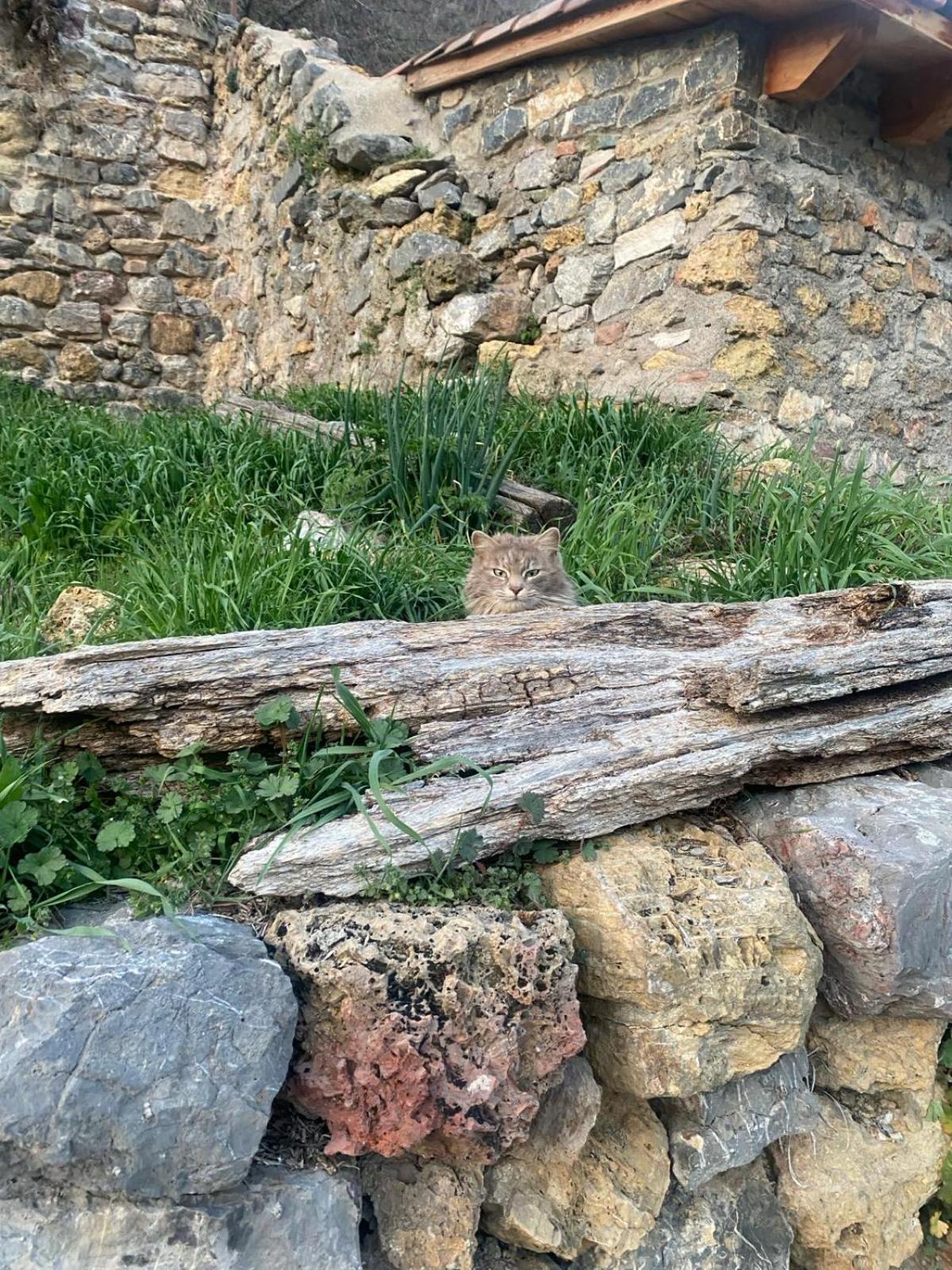 Casa Sarrano