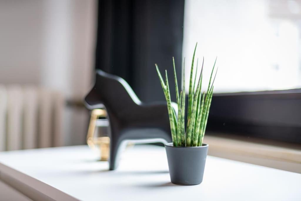 CASSEL LOFTS - Zentrales Apartment - Boxspringbetten