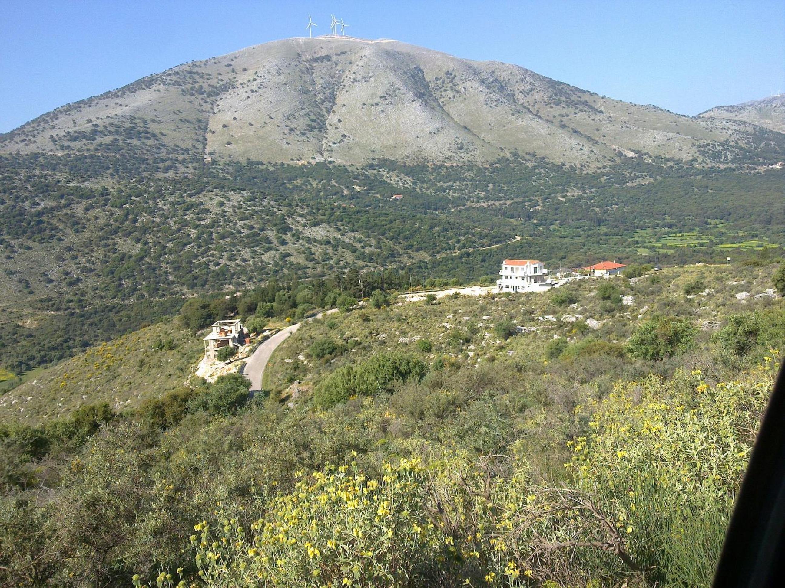 Photo 26