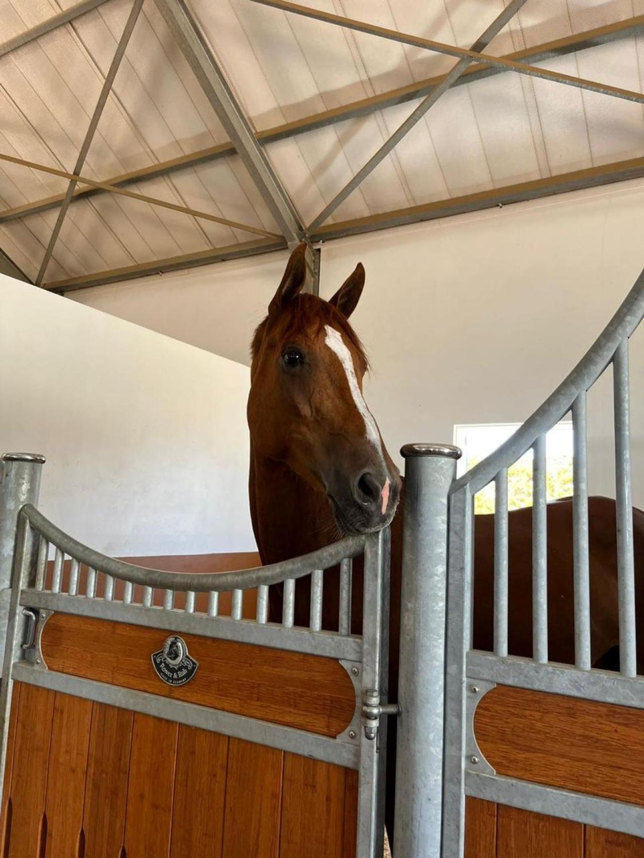 World of Horses Stables view 2