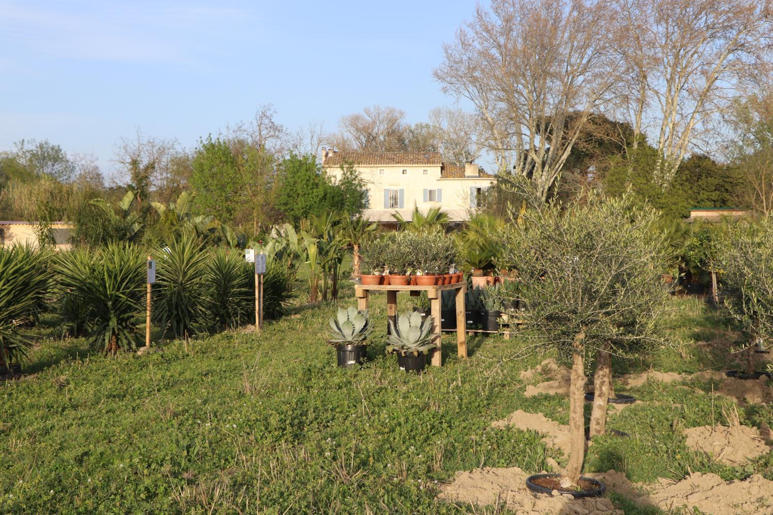 Le Mas des Cerisiers JACUZZI et SAUNA inclus pour tous les logements