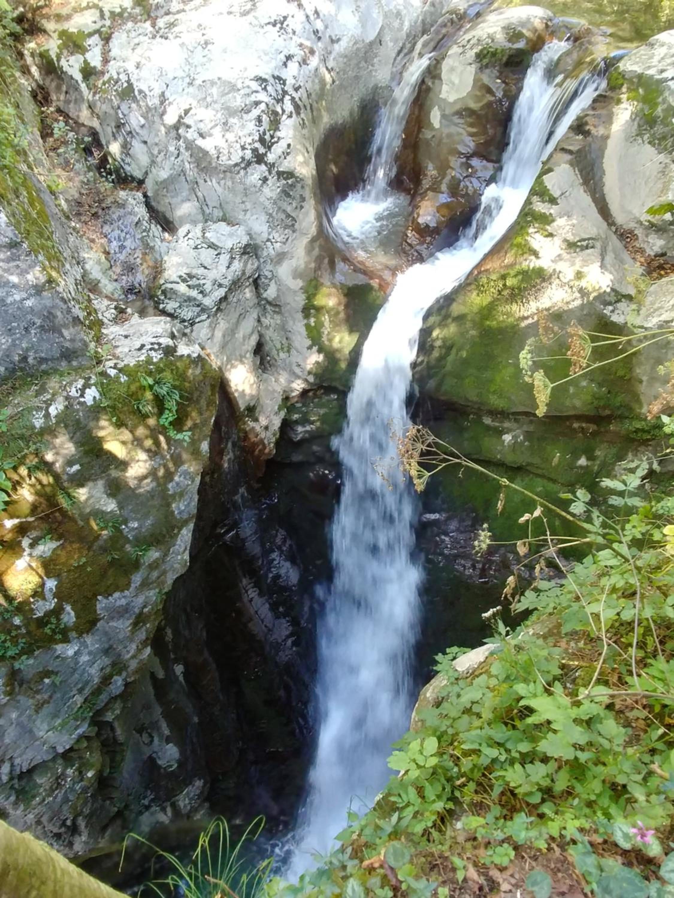 Photo 49