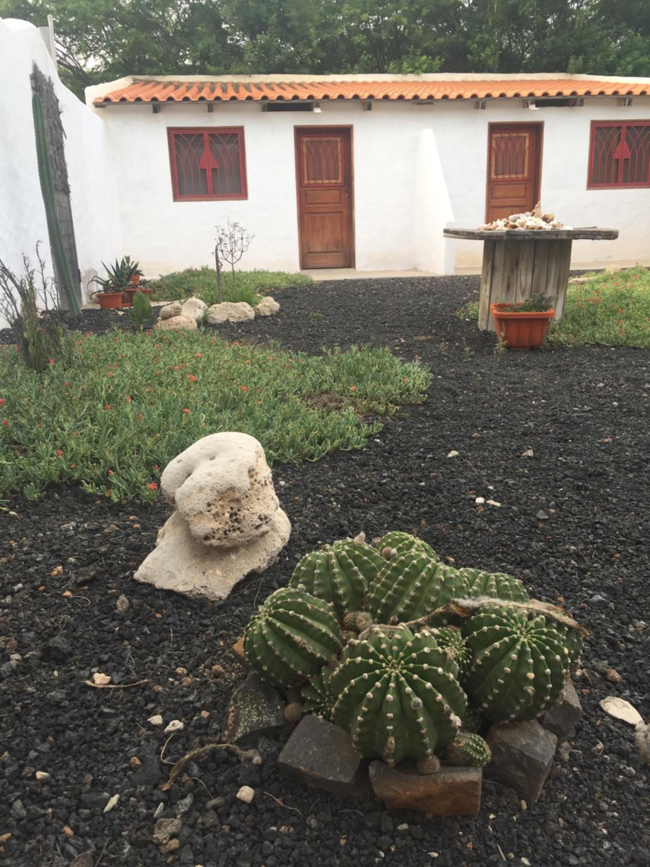 Photo 46