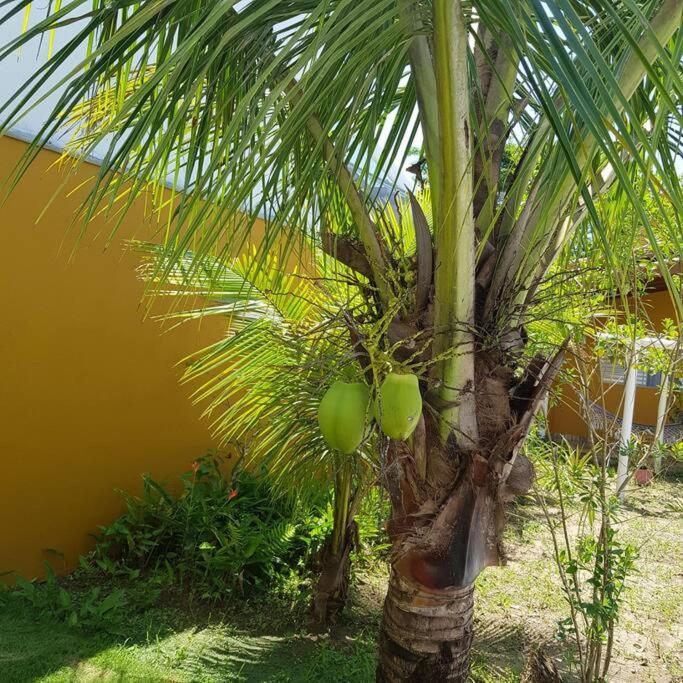 Cantinho Marlex Massagua Casa em Caraguatatuba Condominio Fechado 200m Mar Praia de Massaguaçu