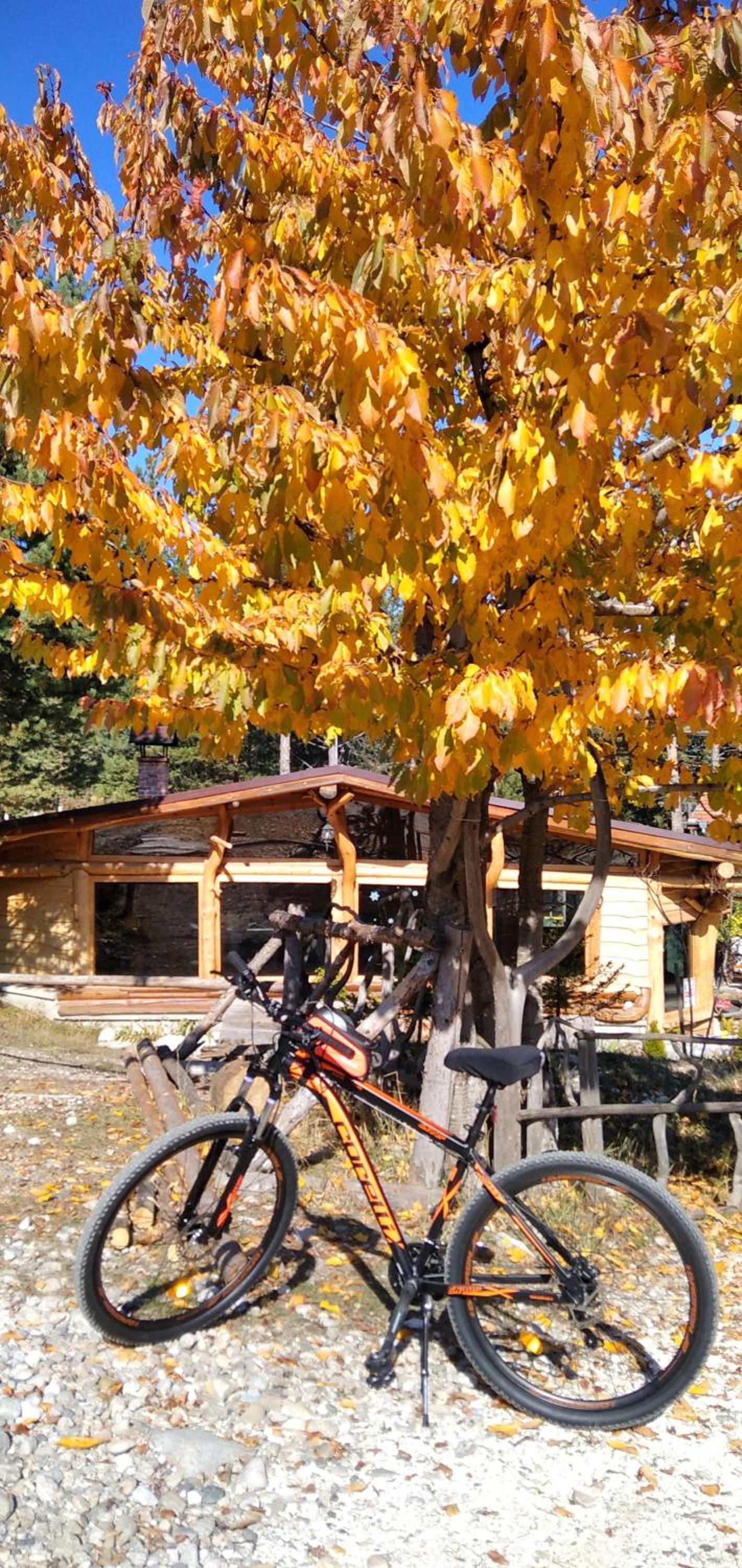 apartment Mountain Delight, Bansko