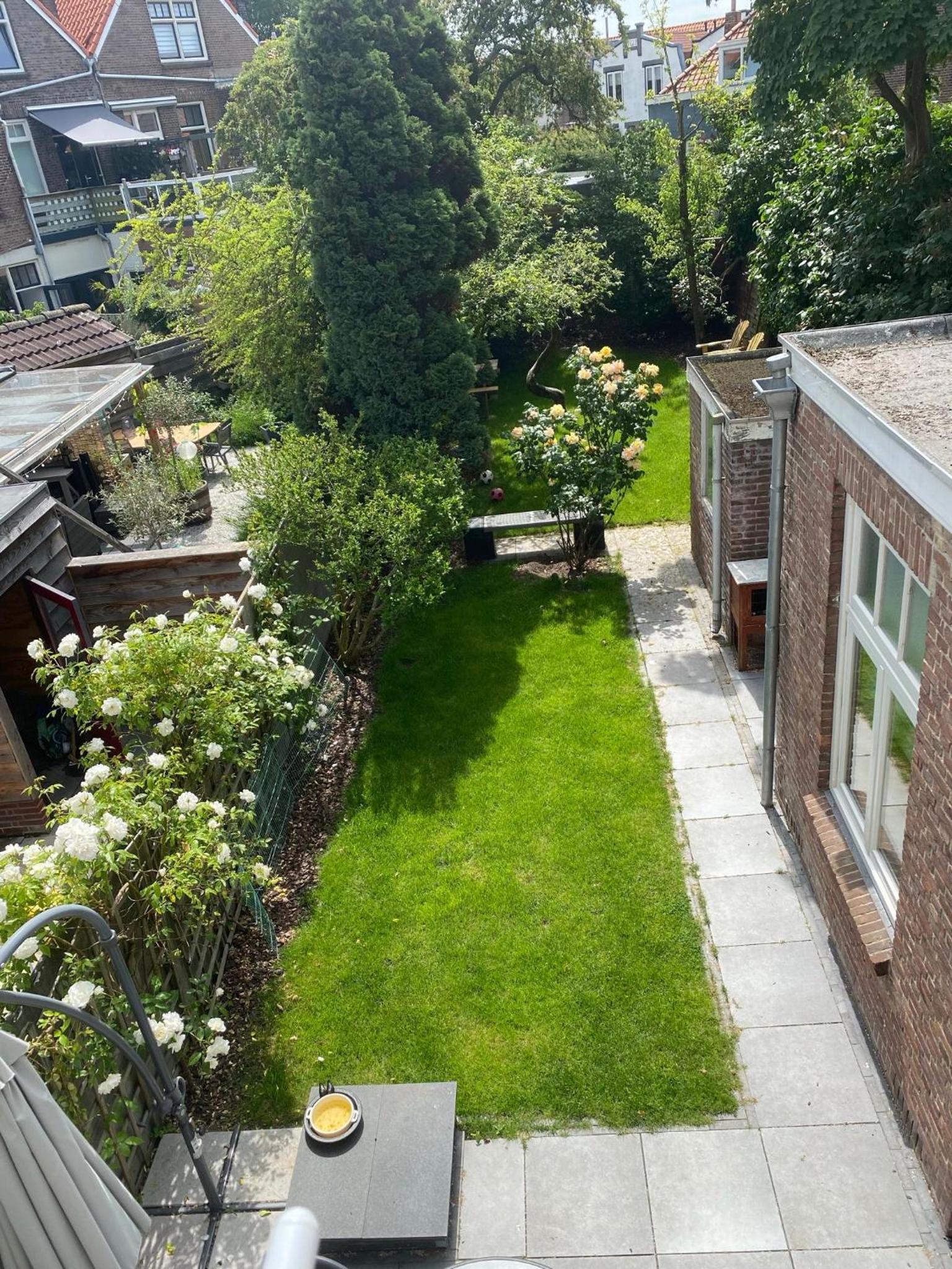 Photo 17