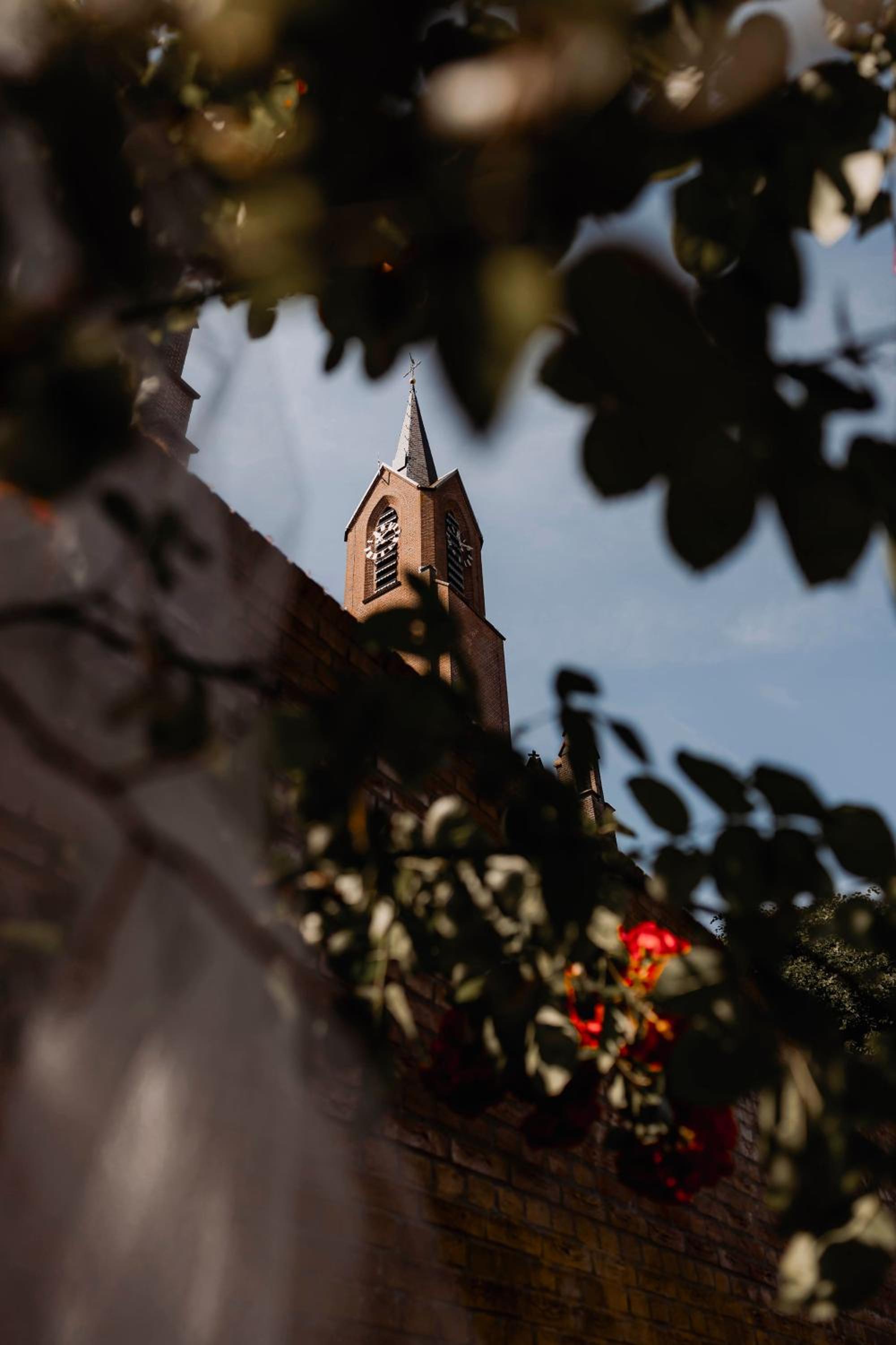 Photo 34