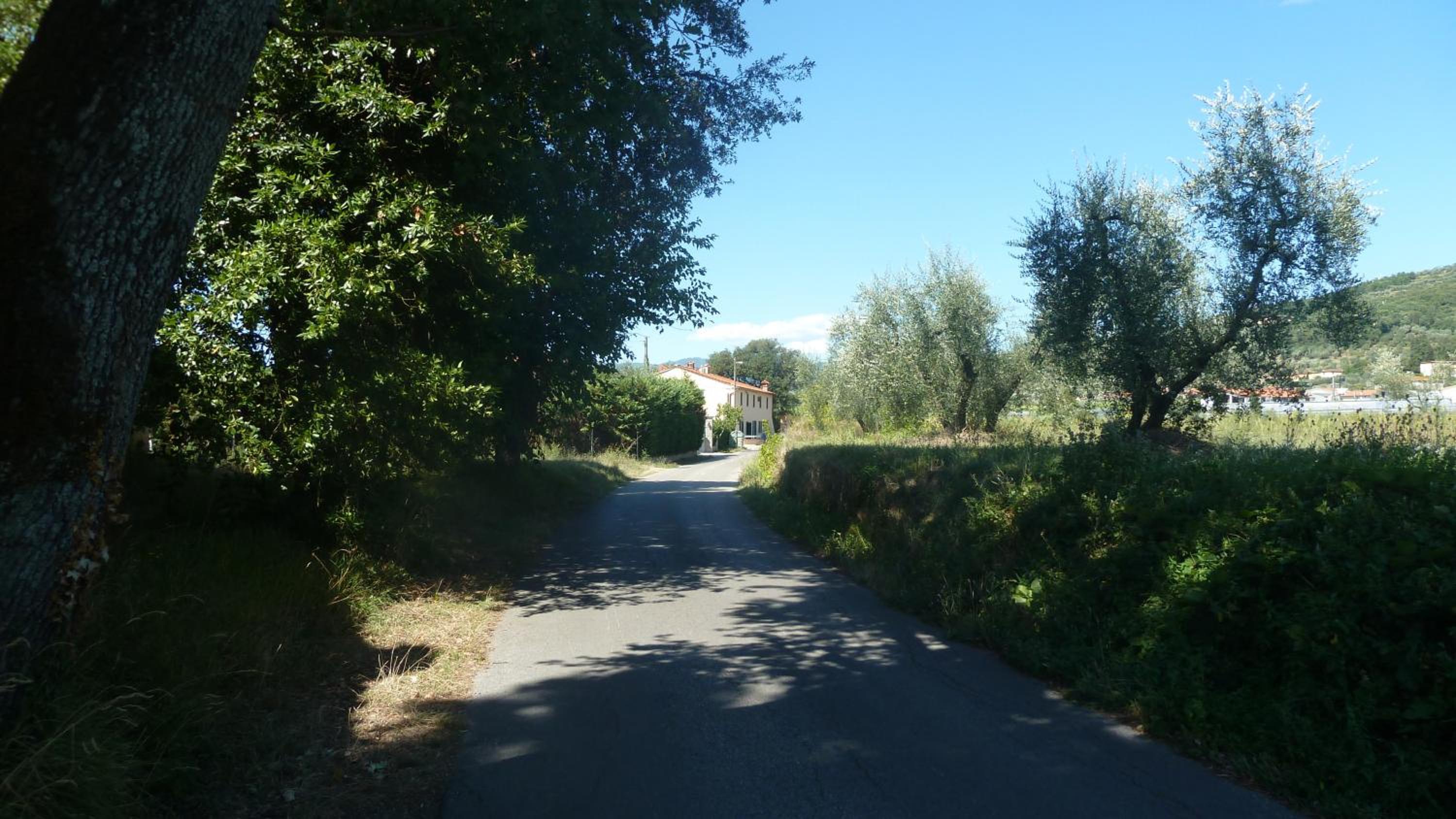 Photo 51