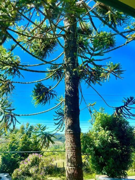 Campos do Jordão, Alto do Capivari perto do centro