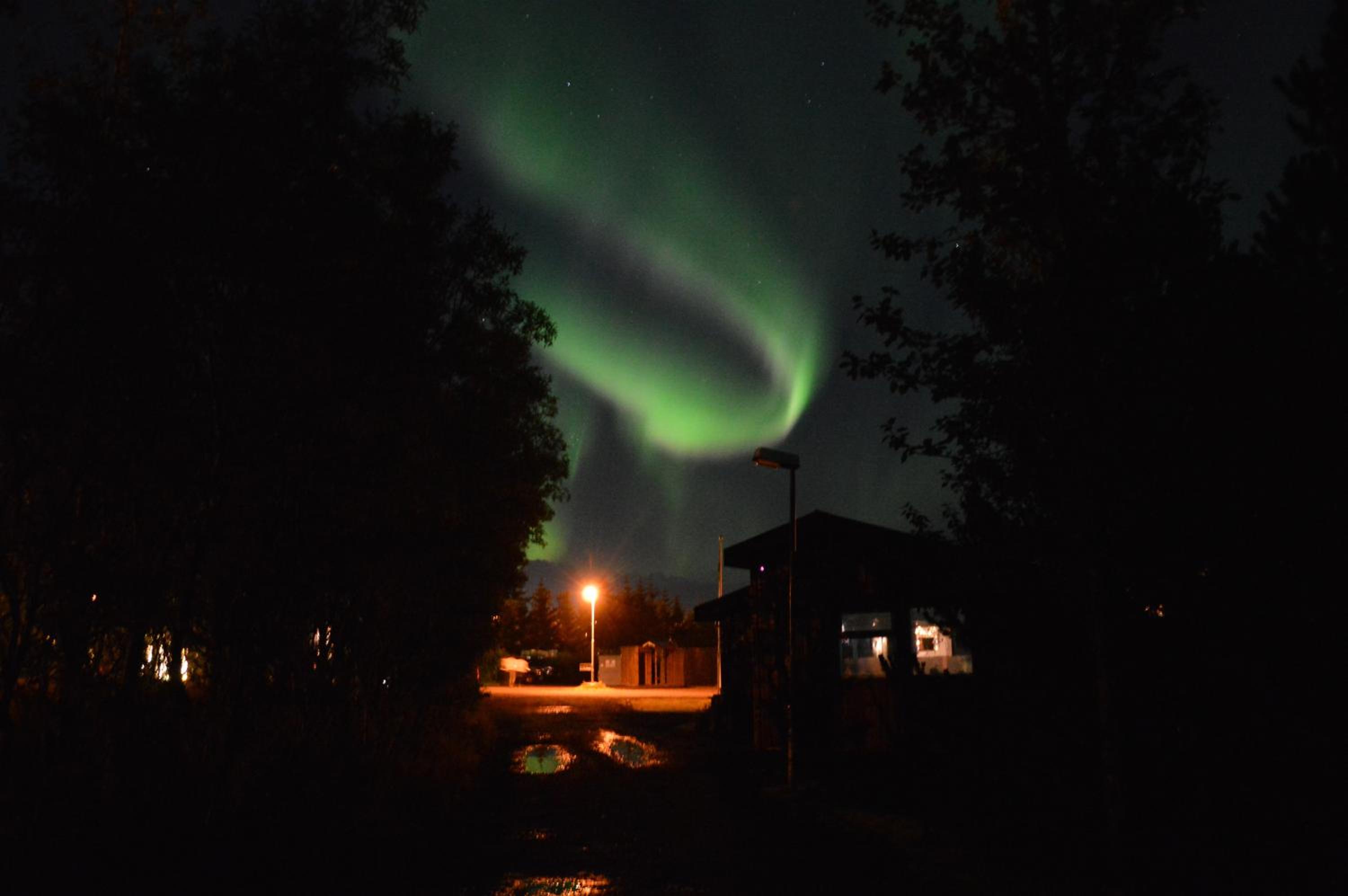 Gesthus Selfoss