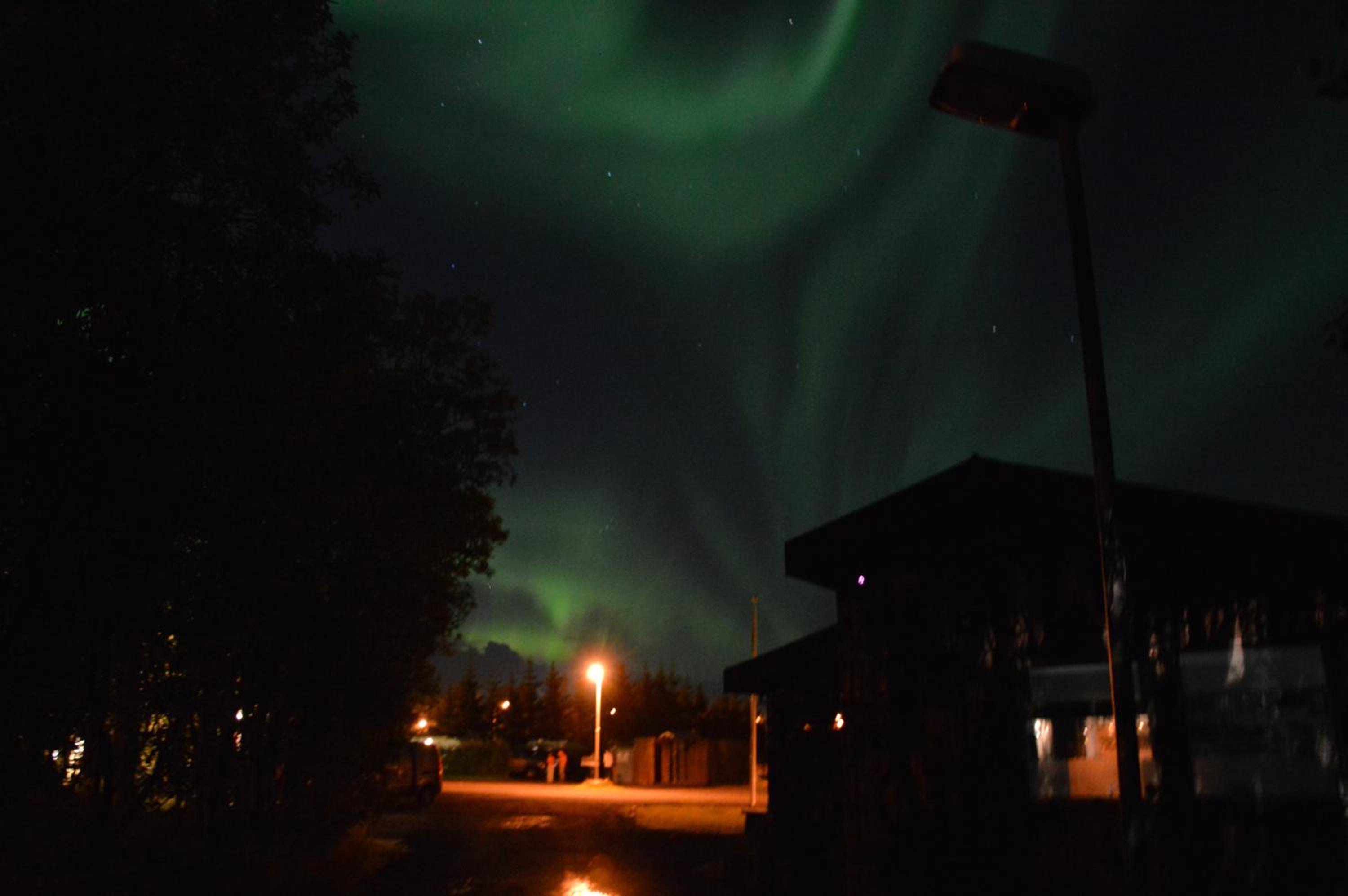 Gesthus Selfoss