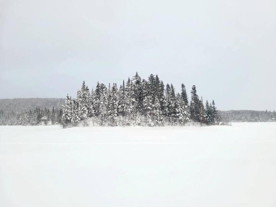 Le Petit Loft du boisé - Nature et ski